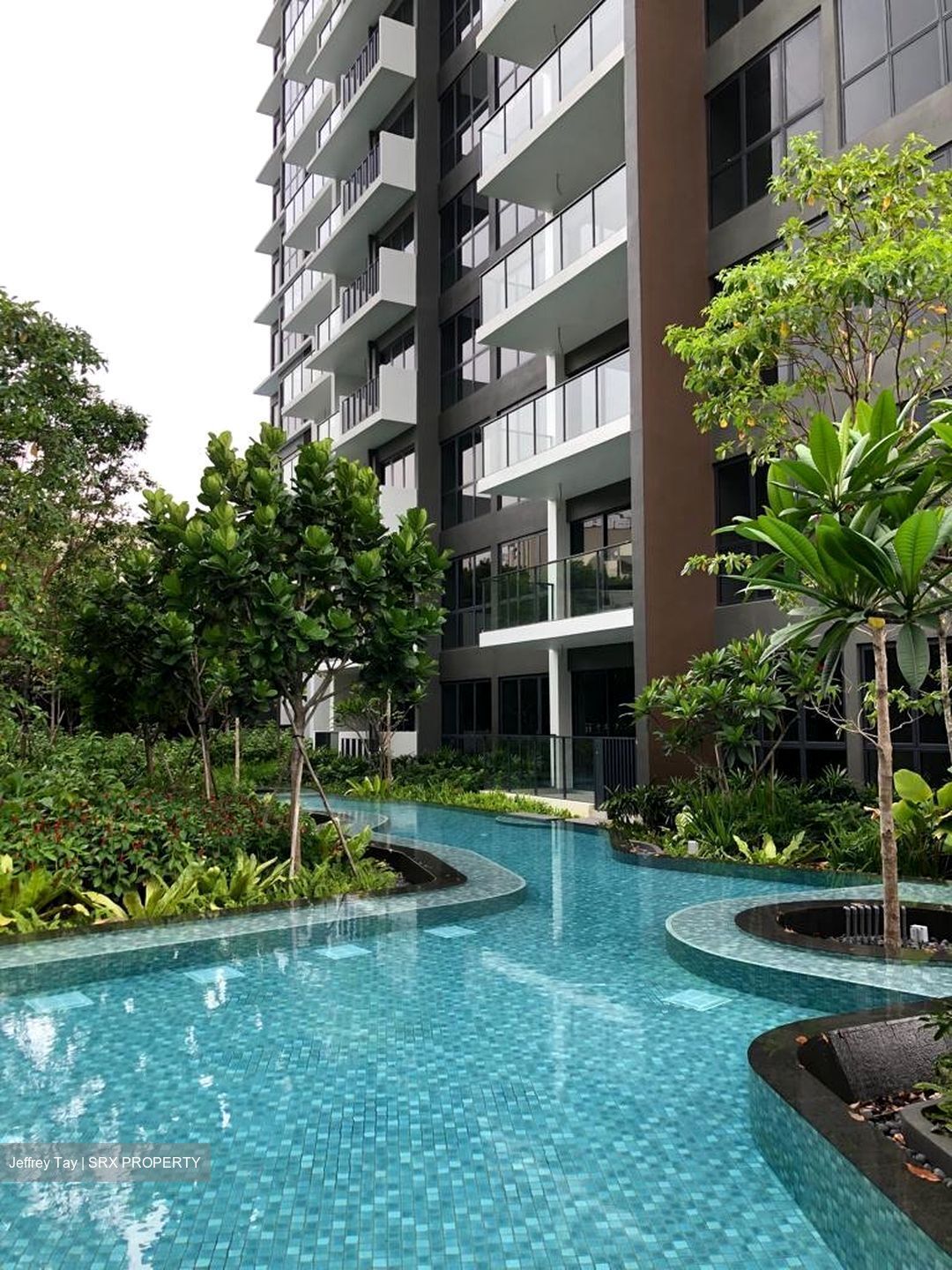 The Clement Canopy (D5), Apartment #552367931